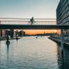 The Bicycle Snake in Copenhagen